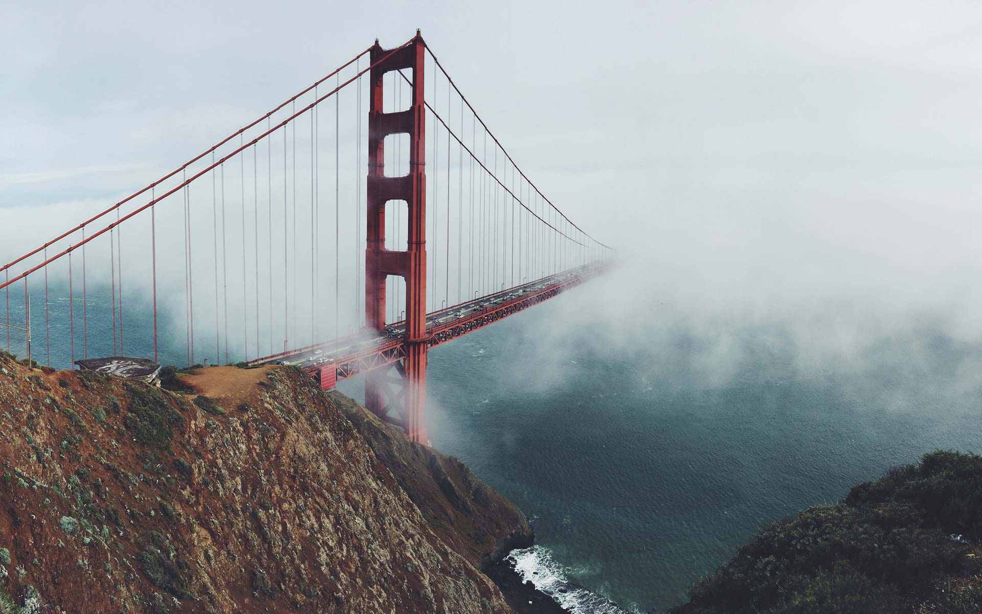 trendy slider image 1